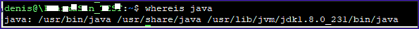 java_version.png