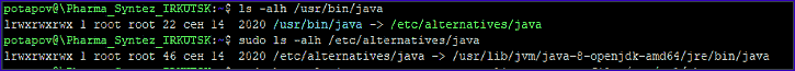 java_version_fpath2.png
